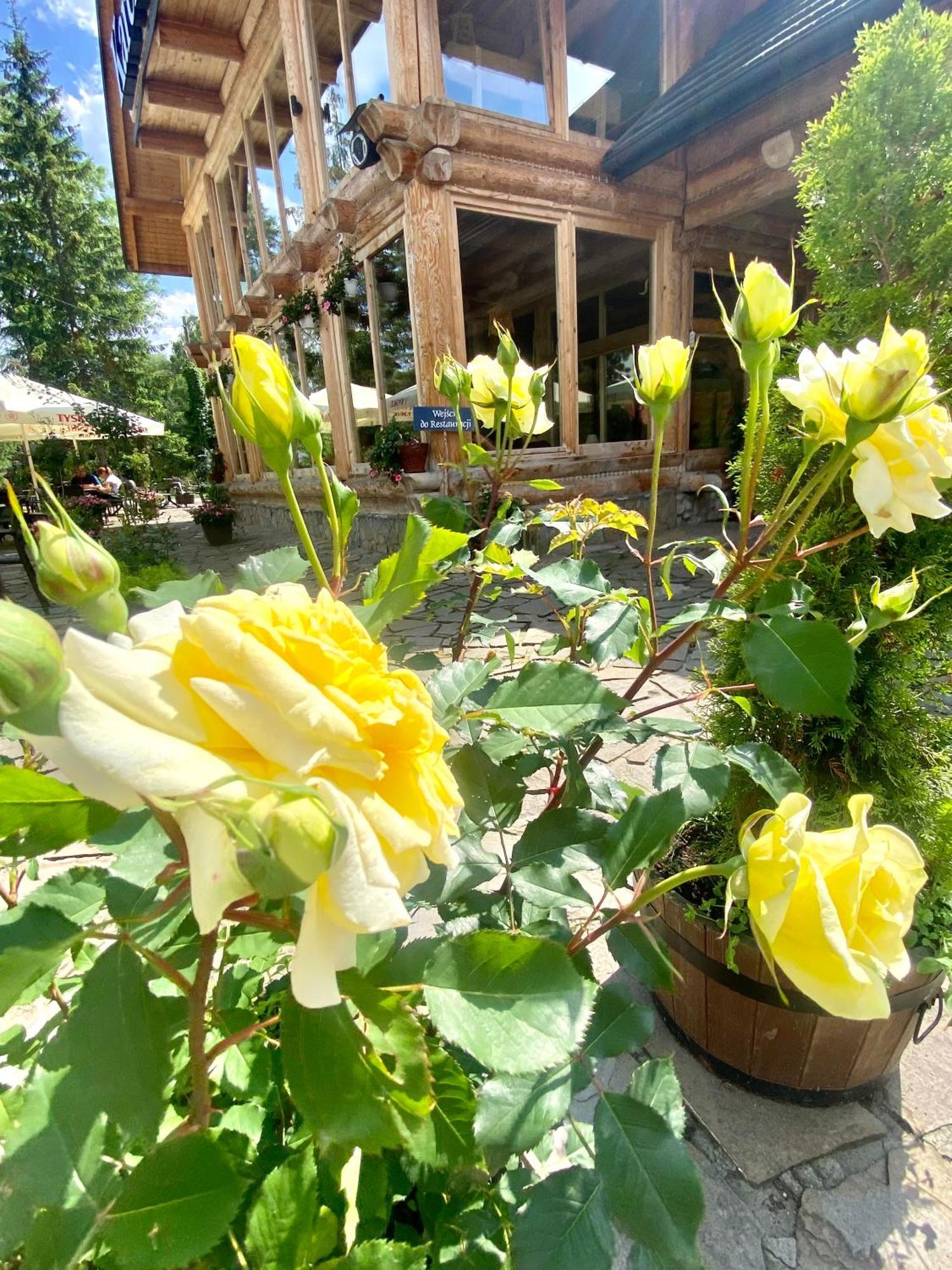 Zajazd Bialczanski Dom Wypoczynkowy Restauracja Bialka Tatrzanska Buitenkant foto